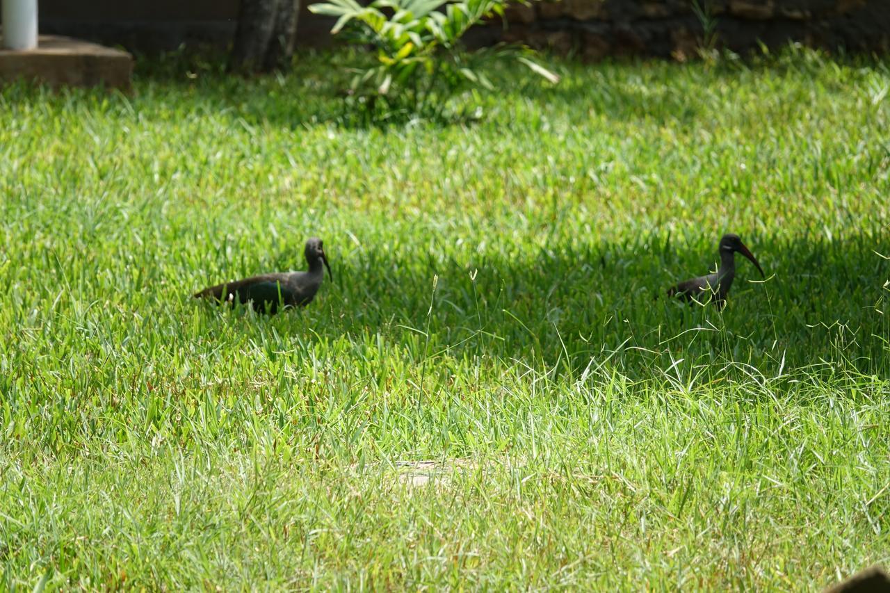 Residence Maison Muege Kilifi Luaran gambar